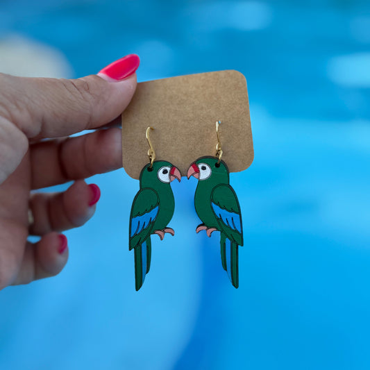 Aretes de Madera Pintados a Mano – Puerto Rico