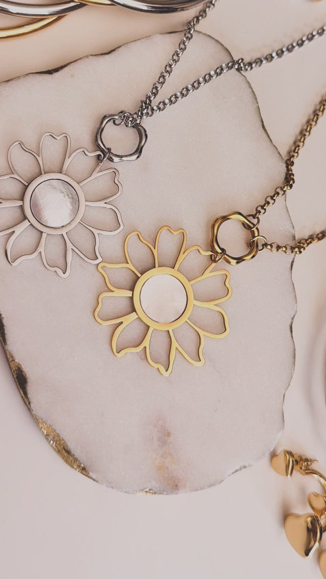 Collar Daisy – Acero Inoxidable con Extensión